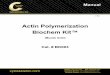 Actin Polymerization - Cytoskeleton