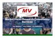 Market Views Research Consultancy Services