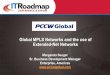 Global MPLS Networks and the use of Extended-Net Networks
