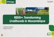 REDD+: Transforming Livelihoods in Mozambique
