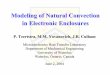 Modeling of Natural Convection in Electronic Enclosures