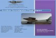 Aircraft Accident Investigation Board (AAIB)