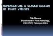 Nomenclature & classification of Plant Viruses