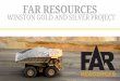 WINSTON GOLD AND SILVER PROJECT - Far Resources