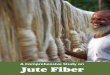 A Comprehensive Study on Jute Fiber