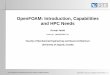 OpenFOAM: Introduction, Capabilities and HPC Needs