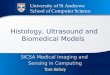 Histology, Ultrasound and Biomedical Models