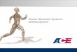 Human Movement Systems: Skeletal System