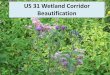 US 31 Wetland Corridor Beautification - Elk Rapids, Michigan