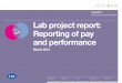 Click here to view functionality Lab project report 