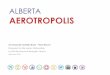 Aerotropolis Viability Study Final Report