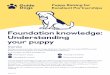 Foundation knowledge: Understanding your puppy