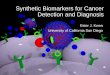 Synthetic Biomarkers for Cancer Detection and Diagnosis
