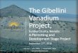 The Gibellini Vanadium Project,