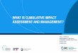 WHAT IS CUMULATIVE IMPACT ASSESSMENT AND MANAGEMENT?