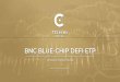 BNC BLUE-CHIP DEFI ETP - Techemy Capital