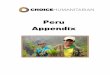 CHOICE PERU Appendix