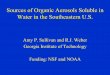 Sources of Organic Aerosols Soluble in Water in the 