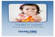 Trouble in Toyland - United States House of Representatives