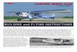 The Clipped Wing Cub Story