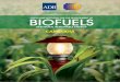 Status and Potential for the Development of Biofuels and 