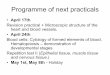 Programme of next practicals
