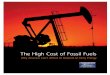 The High Cost of Fossil Fuels - Environment America