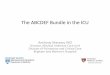 The ABCDEF Bundle in the ICU