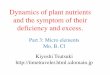 Dynamics of plant nutrients and the symptom of their 