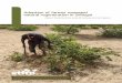 Adoption of farmer managed natural regeneration in Senegal