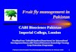 Fruit fly management in Pakistan - GOV.UK