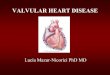 VALVULAR HEART DISEASE - USMF