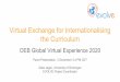 Virtual Exchange for Internationalising the Curriculum