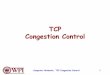 TCP Congestion Control - WPI