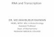 RNA and Transcription - rmc.gov.bd