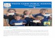 WHITE CLIFFS PUBLIC SCHOOL