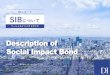 Description of Social Impact Bond