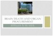 Brain Death and Organ Procurement