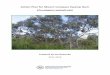 Eucalyptus paludicola - landscape.sa.gov.au