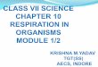 CLASS VII SCIENCE CHAPTER 10 RESPIRATION IN ORGANISMS 