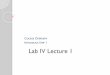 PowerPoint Presentation - Lab IV Lecture 1