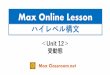 Max Grammar Lesson