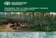 Forestry for a low-carbon future