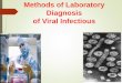 Methods of Laboratory Diagnosis of Viral Infectious