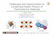 Challenges and Opportunities for Condensed Matter Physics 