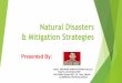 Natural Disasters & Mitigation Strategies