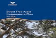Street Tree Asset Management Plan