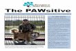 The PAWsitive