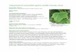 Tobamovirus Cucumber green mottle mosaic virus
