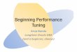 Beginning Performance Tuning - Proligence